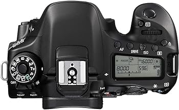 Amazon.com : Canon EOS 80D DSLR Camera (Body Only) (1263C004) + 4K