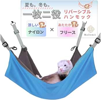 61QT7sqFHwL._AC_UF350,