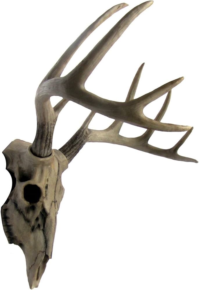Amazon.co.jp: 雄鹿(トナカイアンテロ－ブ)ハンティングトロフィー