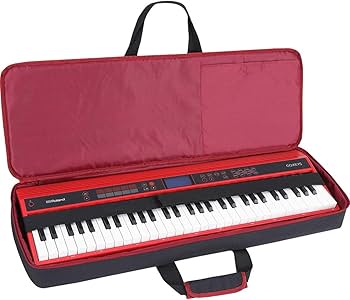 Amazon.com: Roland Carrying Bag for 61-Note Go-Series Keyboard (CB