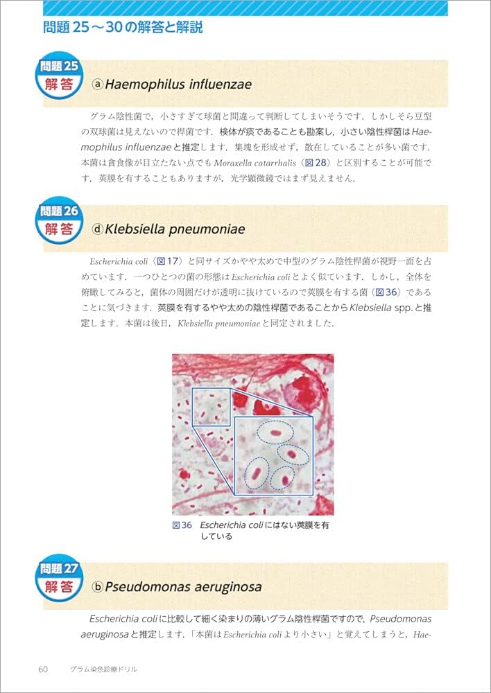 グラム染色診療ドリル〜解いてわかる! 菌推定のためのポイントと抗菌薬