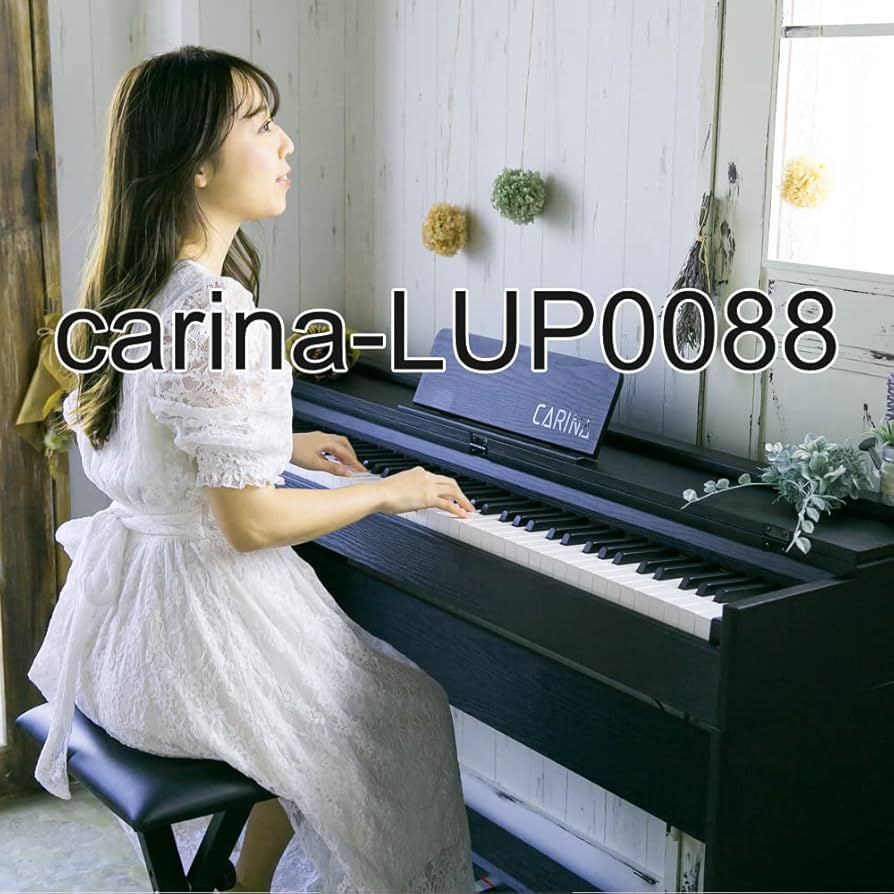 Amazon | Carina 電子ピアノ 88鍵盤 キーボード ハンマーアクション