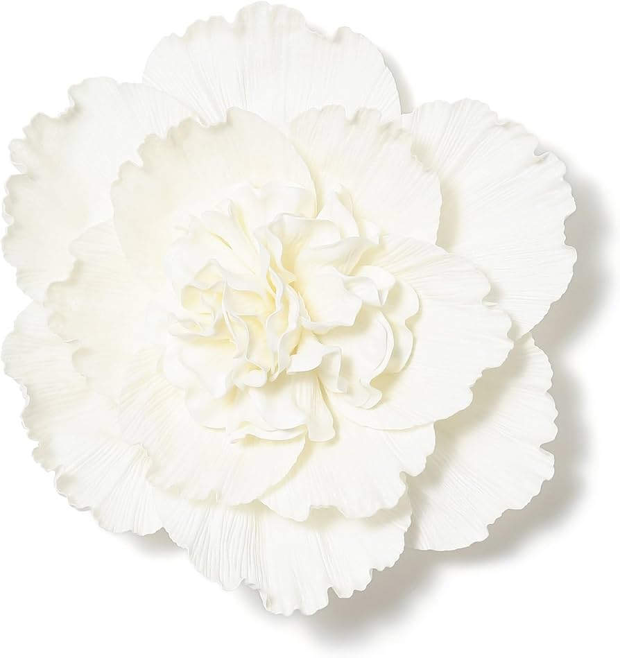 Amazon｜Francfranc フランフラン ウォールフラワー ピオニー L