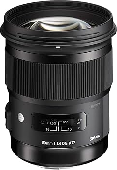 Amazon.com : Sigma 50mm F1.4 Art DG HSM Lens for Nikon : Electronics