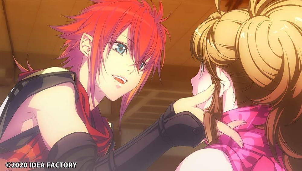 Amazon.co.jp: 忍び、恋うつつ for Nintendo Switch 限定版 : ゲーム