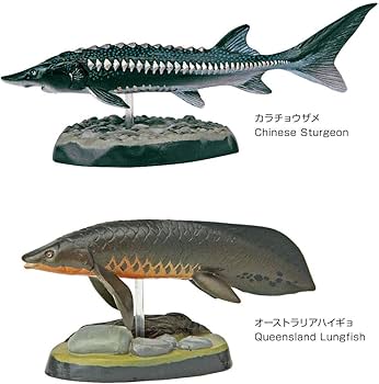 Amazon | カロラータ 古代魚 フィギュア 立体図鑑 (古代生物 / 7種