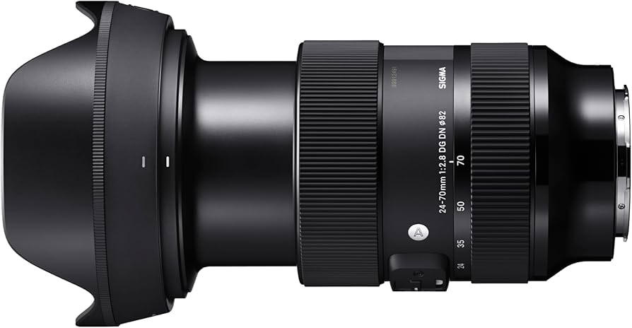 Amazon.com : Sigma 24-70mm F2.8 DG DN Art for Sony E Lens ,Black