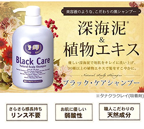 Amazon | ブラック・ケアシャンプー600ml | ナチュラルガーデン