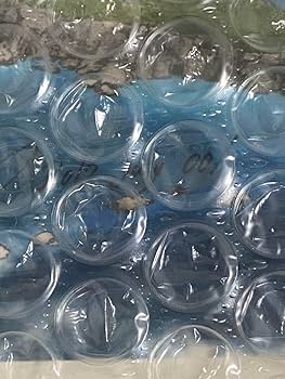 Amazon.co.jp: 井上淳哉 直筆サイン入り複製原画 シリアルNo.1 BTOOOM