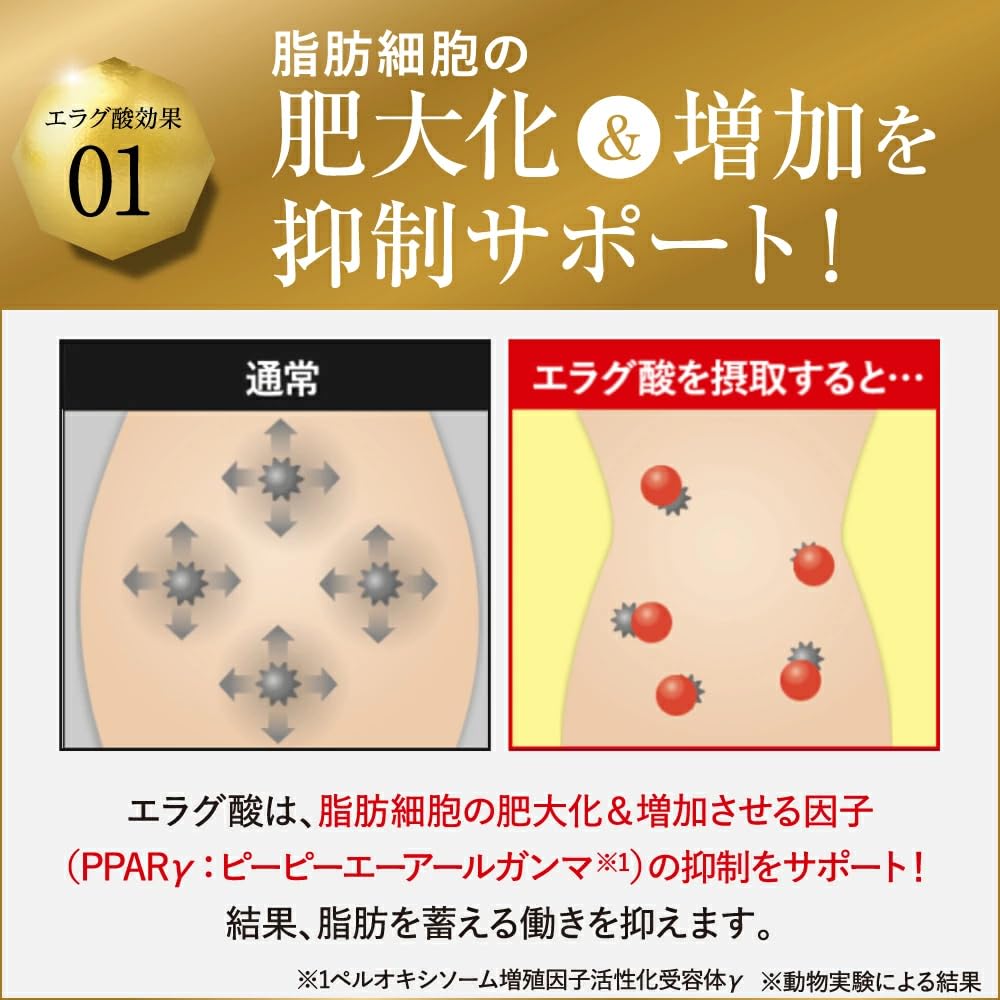 Amazon.co.jp: 【Official】Kumi Koda Fully Produced KILLER BURNER 2