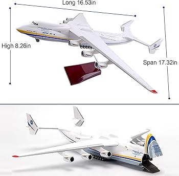 61YPm171oOL._AC_UF350,