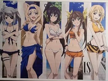 Amazon.co.jp: IS インフィニット・ストラトス 特製小説 CD パック C83