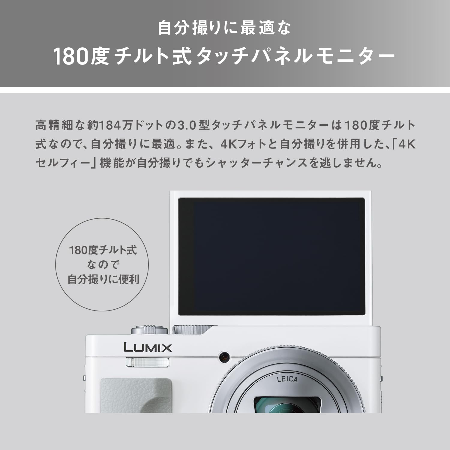 Amazon.com : Panasonic LUMIX TZ/ZS99 Point and Shoot Camera