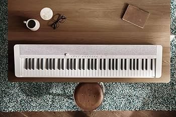 Amazon.com: Casio CT-S1 Casiotone 76-Key Portable Keyboard - White