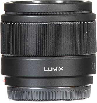 Amazon.com : Panasonic LUMIX G Lens, 25mm, F1.7 ASPH, Mirrorless