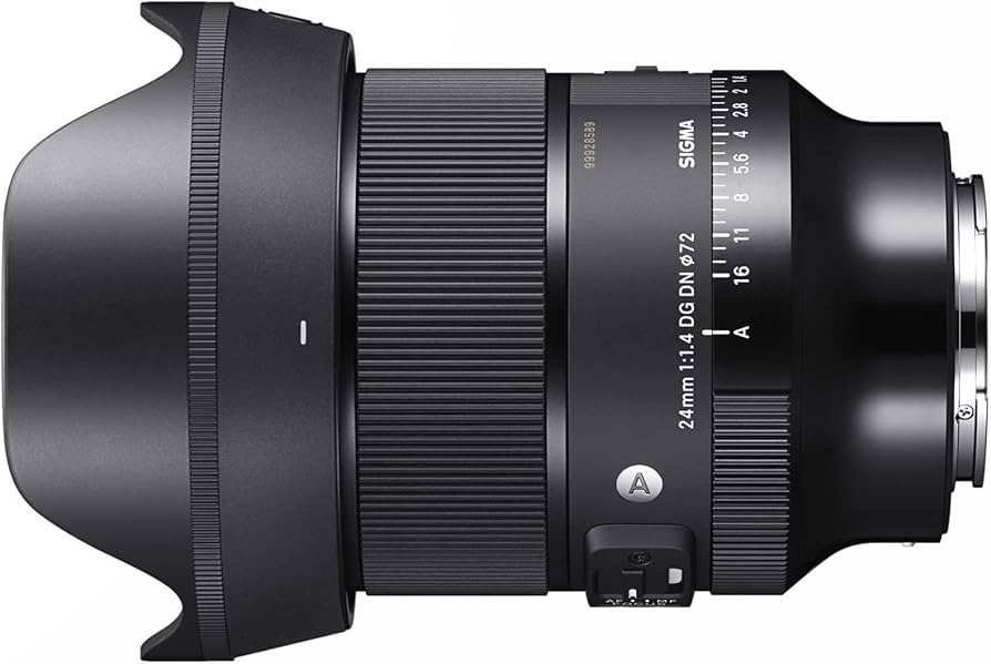 24mm F1.4 Art DG DN for Sony E Mount : Amazon.ca: Electronics