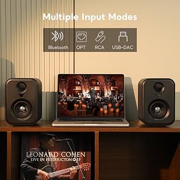 Amazon.co.jp: AIYIMA S400 【更新モデル 】100Wブックシェルフ