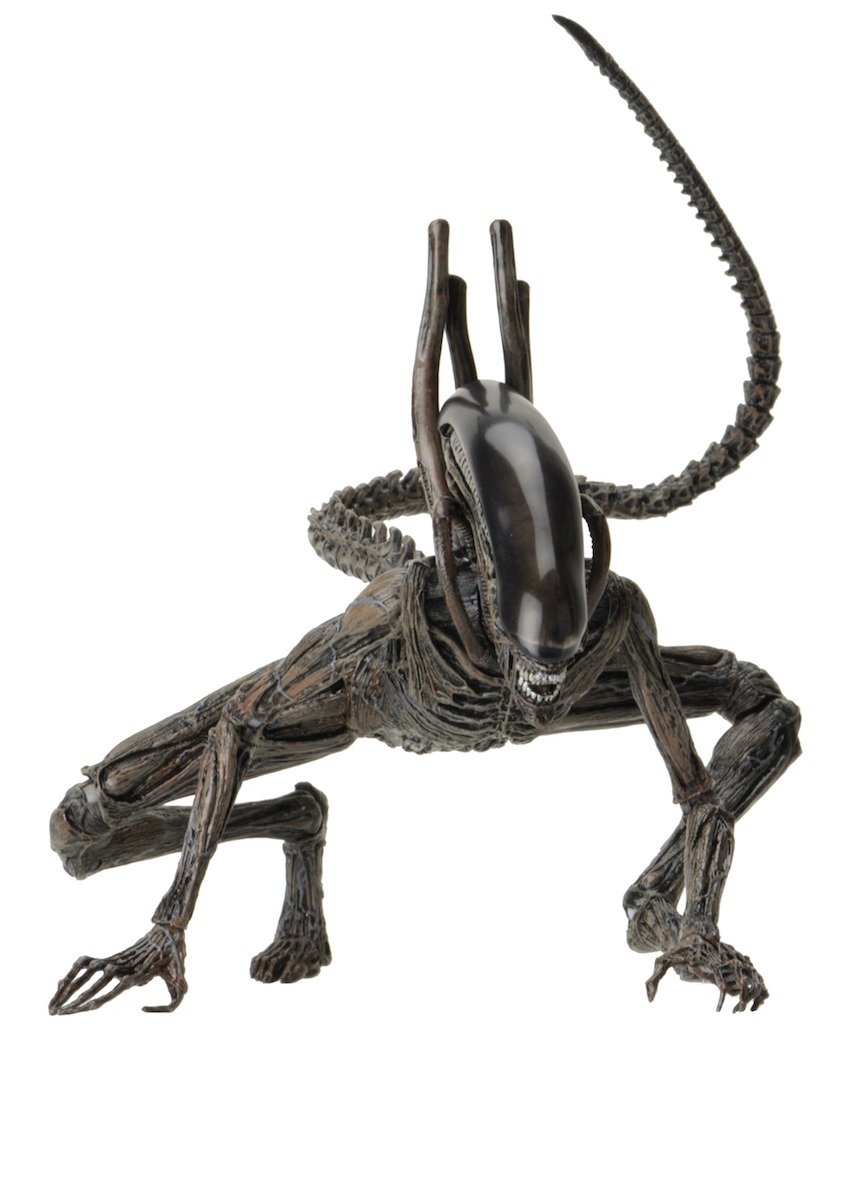 Amazon.co.jp: エイリアン コヴェナント ゼノモーフ 7インチ