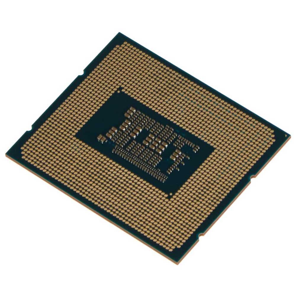 Amazon.com: Intel® Celeron® G6900 Desktop Processor 4M Cache, up