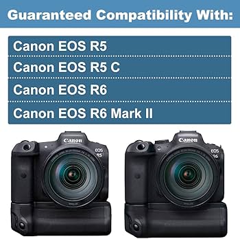DSTE BG-R10 Batteriegriff Kompatibel für Canon EOS R5 R5C R6 R6