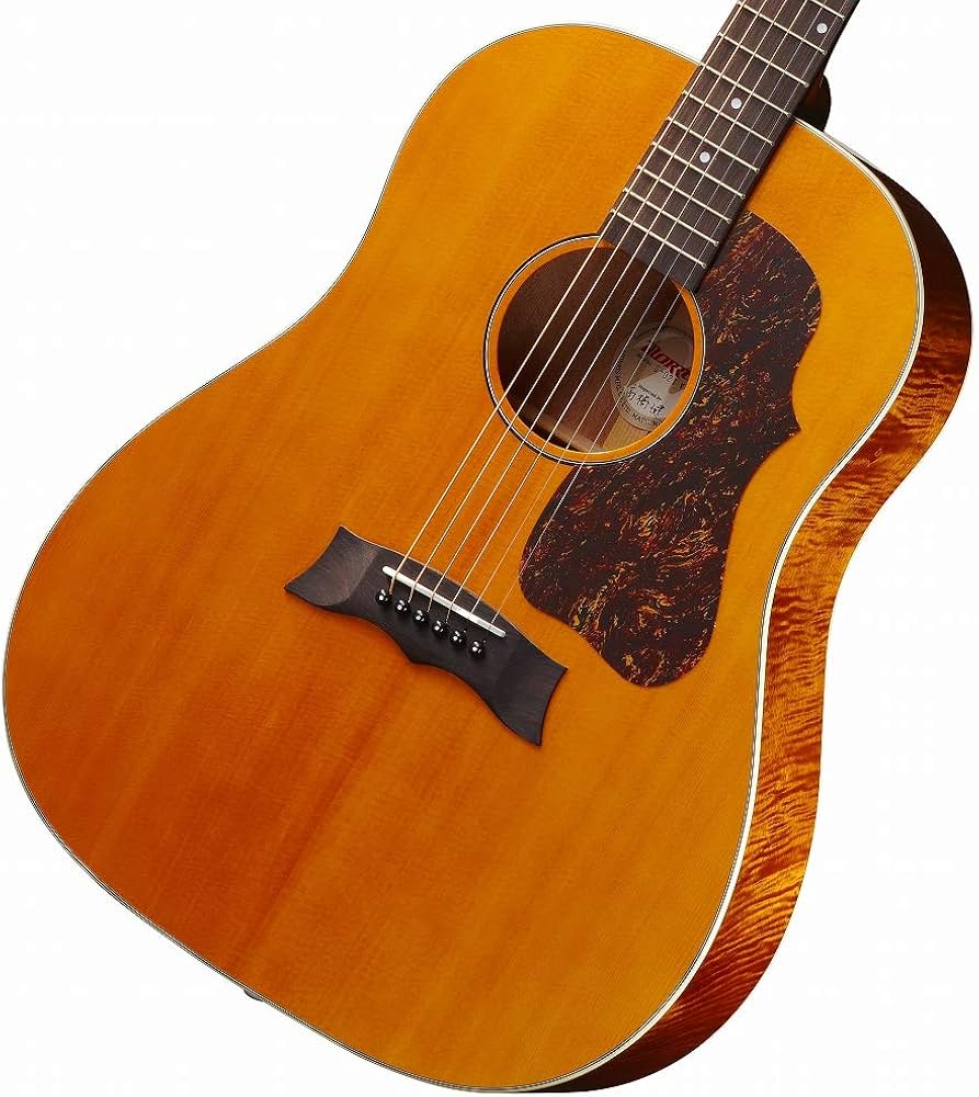 Amazon | Morris/G-021 VYL モーリス アコースティックギター