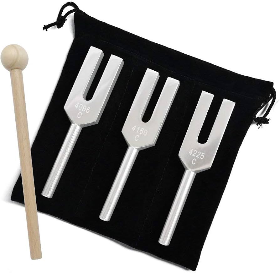 Amazon.co.jp: QIYUN 音叉 チューナー 4096 Hz 4160 hz 4225 hz おんさ