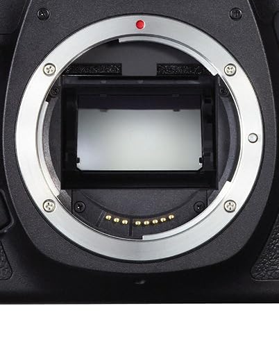 Amazon.com : Canon EOS 5D Mark II Full Frame DSLR Camera (Body