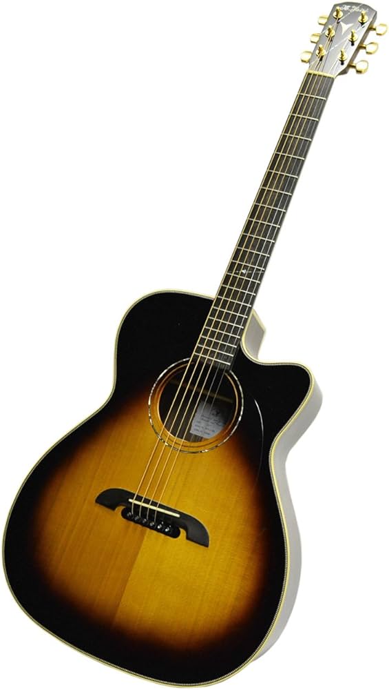 Amazon | K.Yairi Kヤイリ WY-1 SB エレアコ （サンバースト