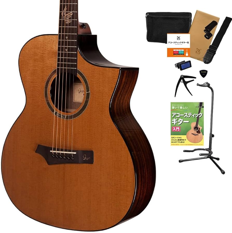 Amazon | Gopher Wood Guitars i320RCE-JP/Origin アコースティック