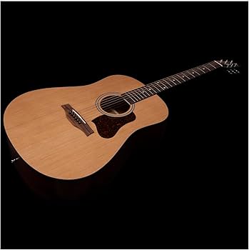 Amazon | Seagull (シーガル) アコースティックギター S6 Cedar