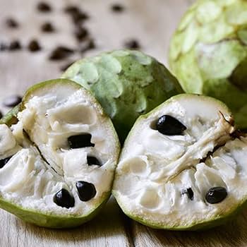 Amazon.co.jp: ITANSE アテモヤ 接木苗 4.5号ポット 品種で