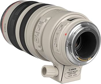 Canon EF 100-400mm f/4.5-5.6L is USM Telephoto Zoom Lens for Canon
