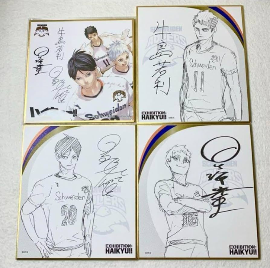 Amazon.co.jp: ハイキュー サイン色紙 アドラーズ : 文房具・オフィス用品