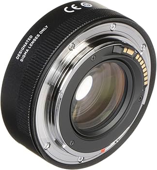 Amazon.co.jp: シグマ(Sigma) レンズ 150-600mm F5-6.3 DG OS HSM