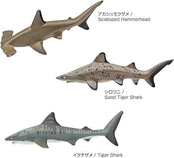Amazon | カロラータ 立体図鑑 サメの仲間 フィギュア (12種 / 解説書