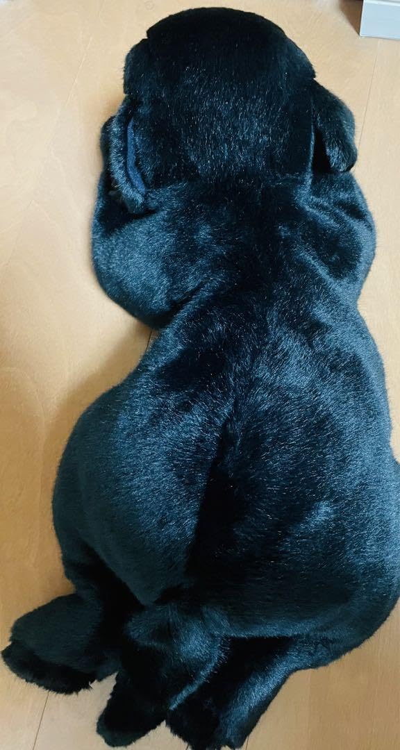 Amazon.co.jp: 四季 オリジナル ラブラドール レトリーバー 黒ラブ