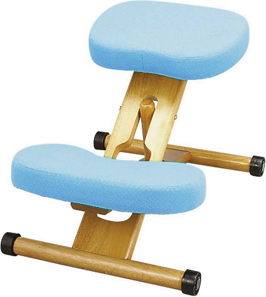 Amazon｜宮武製作所 プロポーションチェアキッズ 補助クッション付 幅