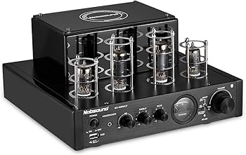 Amazon.com: Nobsound MS-10D MKIII HiFi Bluetooth Hybrid Tube Power