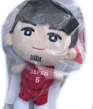 61JM8wq0ROL._AC_UF350,