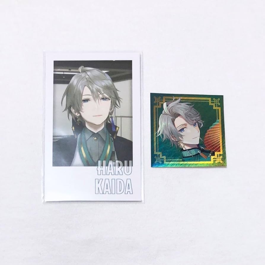 甲斐田晴 チェキ風トレカ 30枚 甲斐田晴 チェキ風トレカ 30枚 甲斐田晴