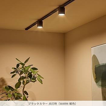 Amazon.co.jp : アートワークスタジオ グリッドダクトダウンライト