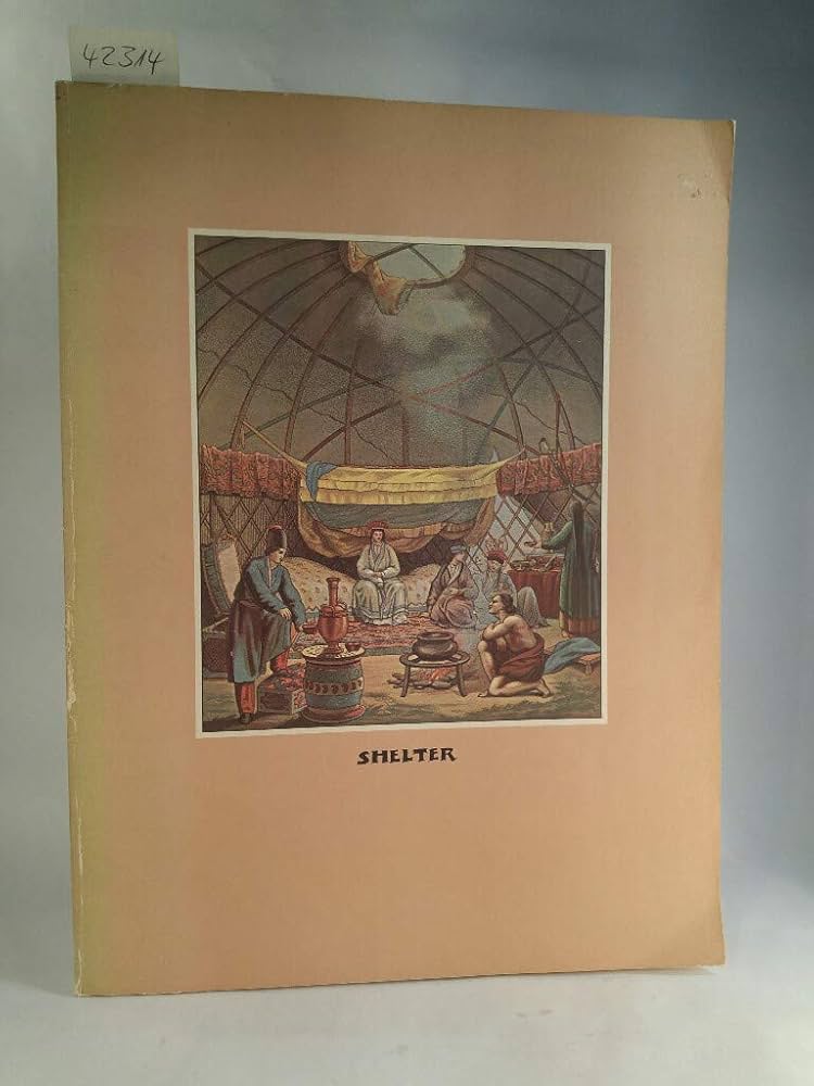 Amazon.co.jp: Shelter : 本