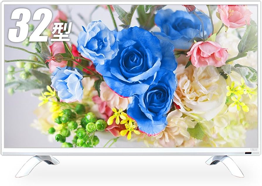 Amazon | IRIE 32 型 テレビ 白 - HDD録画対応 留守録機能 大手