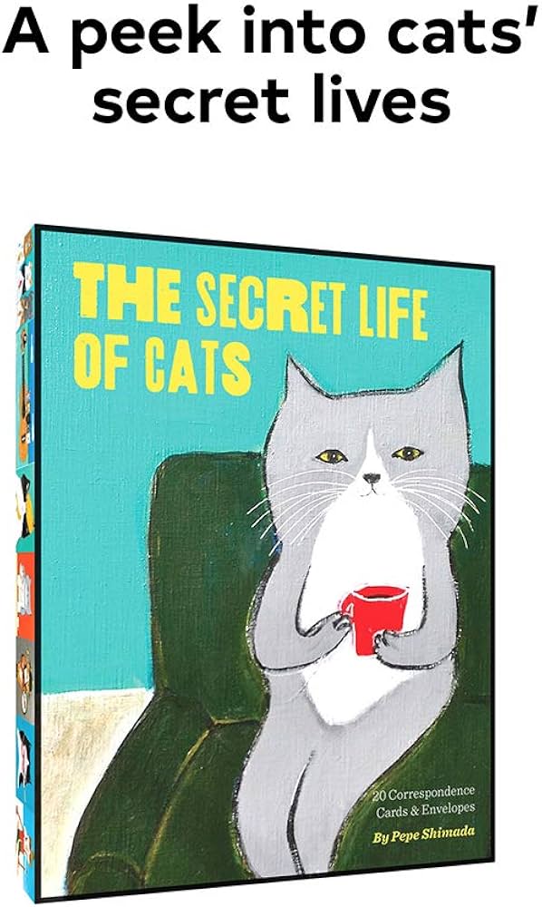 61L6UWbbU8L._AC_UF1000,