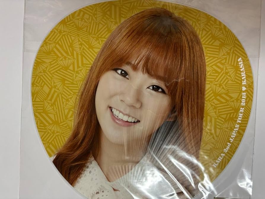 入手困難】KARA 2012ツアー うちわ 入手困難】KARA 2012ツアー うちわ