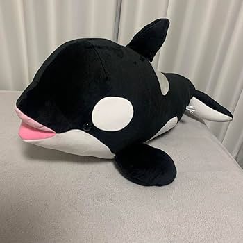 Amazon.co.jp: 神戸須磨シーワールド オルカくじ 1等 Y : おもちゃ