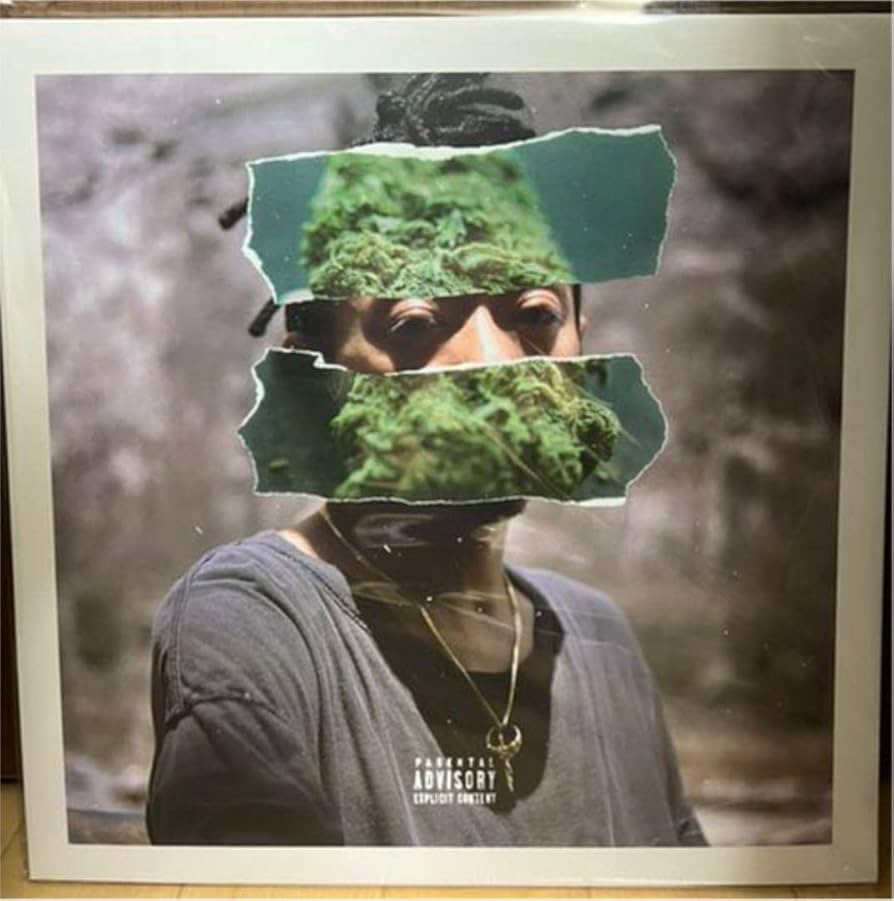 Amazon.co.jp: RudeBwoy Face - JAM DOWN LP レコード : パソコン