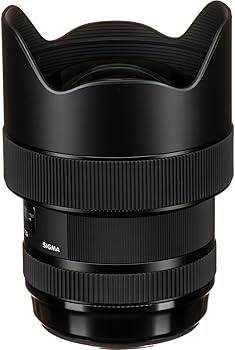 Amazon.com : Sigma 14-24mm F2.8 DG HSM, Black (212954) for Canon