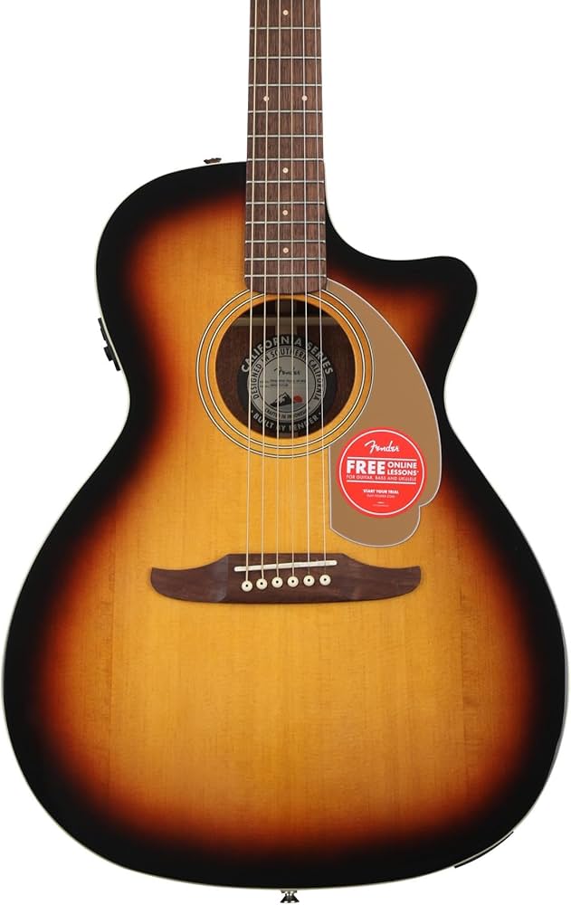 Amazon.com: Fender Newporter Player Acoustic Guitar, with 2-Year