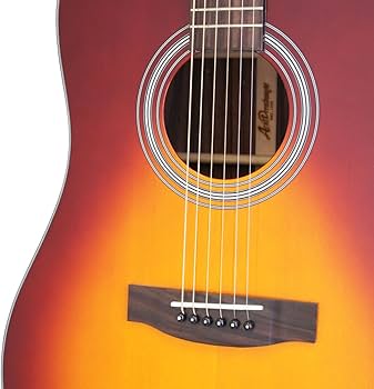 Amazon.co.jp: ARIA アリア アコースティックギター ソフトケース付 AD